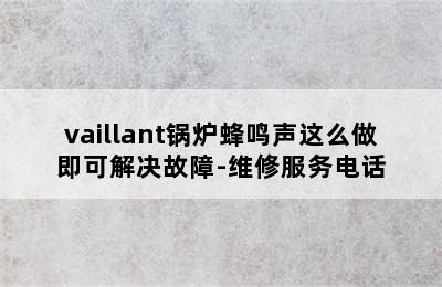 vaillant锅炉蜂鸣声这么做即可解决故障-维修服务电话