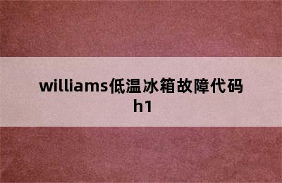 williams低温冰箱故障代码h1