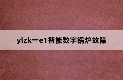 ylzk一e1智能数字锅炉故障