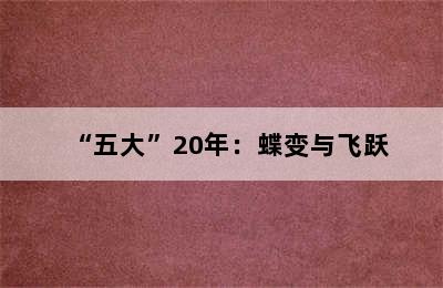 “五大”20年：蝶变与飞跃