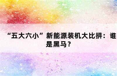 “五大六小”新能源装机大比拼：谁是黑马？