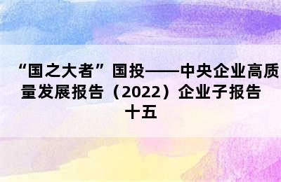 “国之大者”国投——中央企业高质量发展报告（2022）企业子报告十五