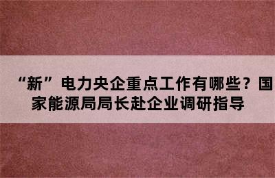 “新”电力央企重点工作有哪些？国家能源局局长赴企业调研指导