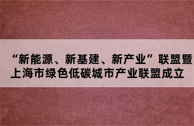 “新能源、新基建、新产业”联盟暨上海市绿色低碳城市产业联盟成立