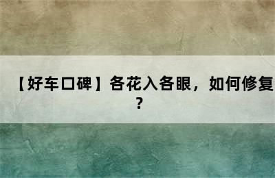 【好车口碑】各花入各眼，如何修复？