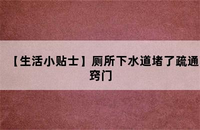 【生活小贴士】厕所下水道堵了疏通窍门