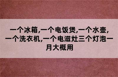 一个冰箱,一个电饭煲,一个水壶,一个洗衣机,一个电滋灶三个灯泡一月大概用