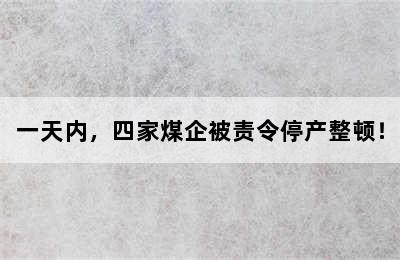 一天内，四家煤企被责令停产整顿！