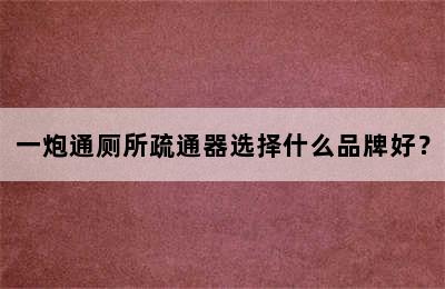 一炮通厕所疏通器选择什么品牌好？