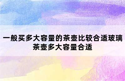 一般买多大容量的茶壶比较合适玻璃茶壶多大容量合适