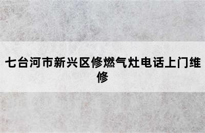 七台河市新兴区修燃气灶电话上门维修