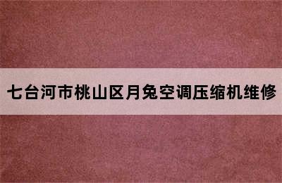 七台河市桃山区月兔空调压缩机维修