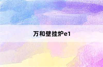 万和壁挂炉e1