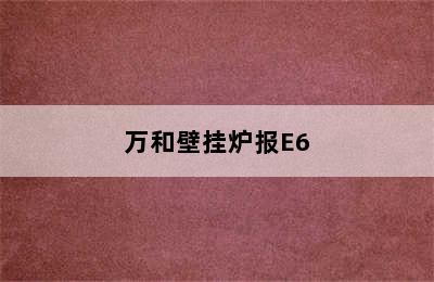 万和壁挂炉报E6