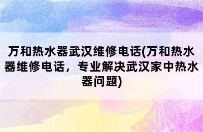 万和热水器武汉维修电话(万和热水器维修电话，专业解决武汉家中热水器问题)