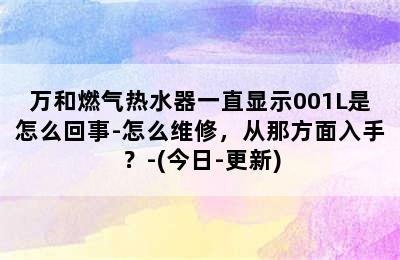 万和燃气热水器一直显示001L是怎么回事-怎么维修，从那方面入手？-(今日-更新)