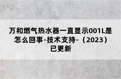 万和燃气热水器一直显示001L是怎么回事-技术支持-（2023）已更新