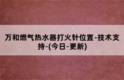 万和燃气热水器打火针位置-技术支持-(今日-更新)