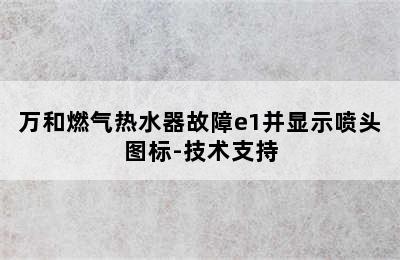 万和燃气热水器故障e1并显示喷头图标-技术支持