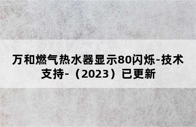 万和燃气热水器显示80闪烁-技术支持-（2023）已更新