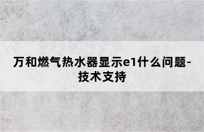 万和燃气热水器显示e1什么问题-技术支持