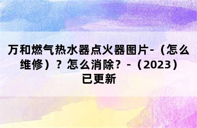 万和燃气热水器点火器图片-（怎么维修）？怎么消除？-（2023）已更新