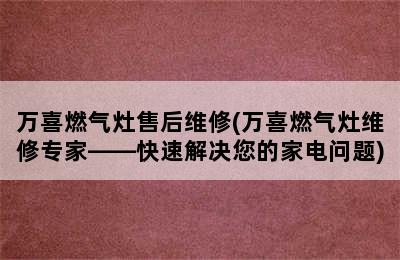 万喜燃气灶售后维修(万喜燃气灶维修专家——快速解决您的家电问题)