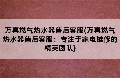 万喜燃气热水器售后客服(万喜燃气热水器售后客服：专注于家电维修的精英团队)