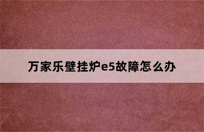 万家乐壁挂炉e5故障怎么办