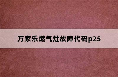 万家乐燃气灶故障代码p25