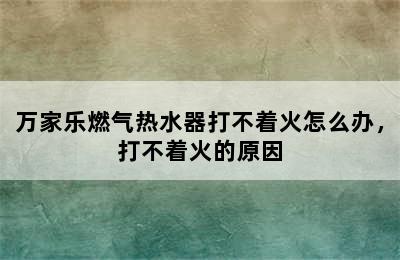 万家乐燃气热水器打不着火怎么办，打不着火的原因