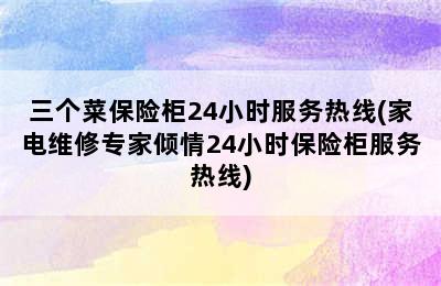 三个菜保险柜24小时服务热线(家电维修专家倾情24小时保险柜服务热线)