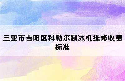 三亚市吉阳区科勒尔制冰机维修收费标准