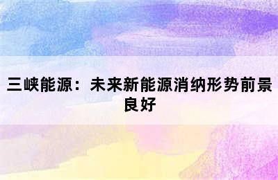 三峡能源：未来新能源消纳形势前景良好