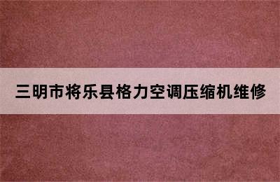 三明市将乐县格力空调压缩机维修