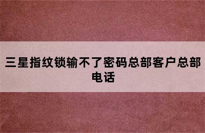 三星指纹锁输不了密码总部客户总部电话