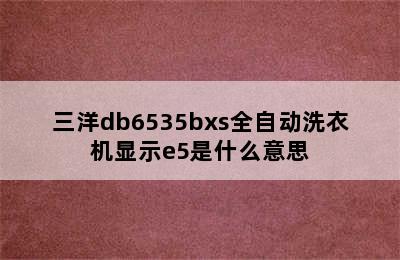 三洋db6535bxs全自动洗衣机显示e5是什么意思