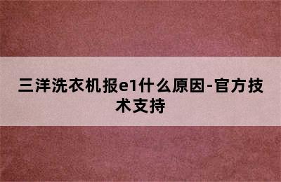 三洋洗衣机报e1什么原因-官方技术支持