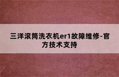 三洋滚筒洗衣机er1故障维修-官方技术支持