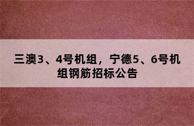 三澳3、4号机组，宁德5、6号机组钢筋招标公告