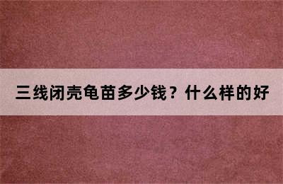 三线闭壳龟苗多少钱？什么样的好