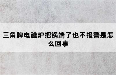 三角牌电磁炉把锅端了也不报警是怎么回事