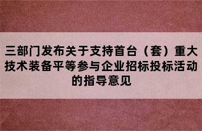 三部门发布关于支持首台（套）重大技术装备平等参与企业招标投标活动的指导意见