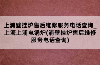 上浦壁挂炉售后维修服务电话查询_上海上浦电锅炉(浦壁挂炉售后维修服务电话查询)