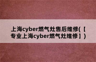 上海cyber燃气灶售后维修(【专业上海cyber燃气灶维修】)