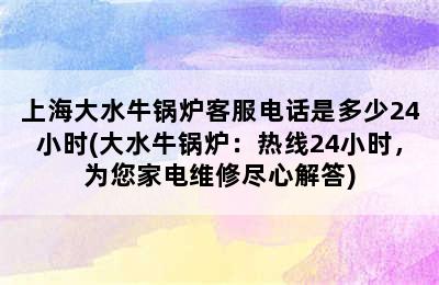 上海大水牛锅炉客服电话是多少24小时(大水牛锅炉：热线24小时，为您家电维修尽心解答)