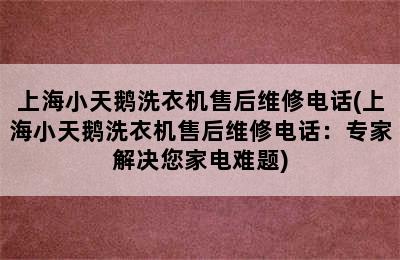 上海小天鹅洗衣机售后维修电话(上海小天鹅洗衣机售后维修电话：专家解决您家电难题)