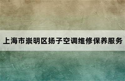 上海市崇明区扬子空调维修保养服务