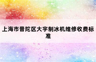 上海市普陀区大宇制冰机维修收费标准