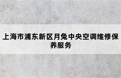 上海市浦东新区月兔中央空调维修保养服务